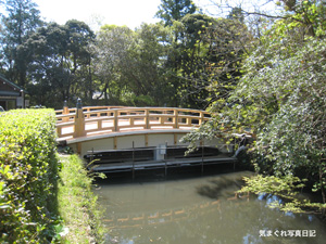 20100424_4818.jpg