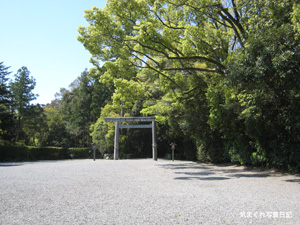 20100424_4819.jpg