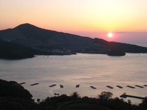 20100425_4791.jpg