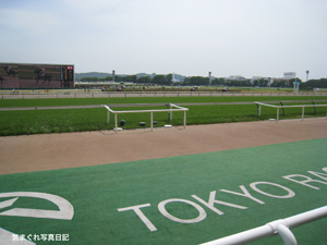 20100522_5386.jpg