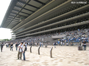20100522_5389.jpg