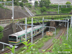 20100613_5893.jpg