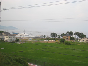 20100617_6094.jpg