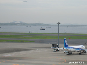 20100626_6779.jpg