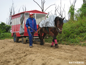 20100626_6845.jpg