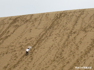 20100626_6915.jpg