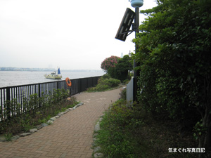 20100731_7880.jpg