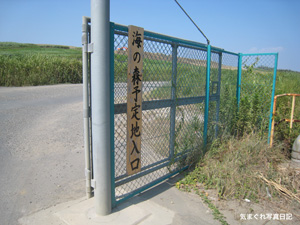 20100821_8296.jpg