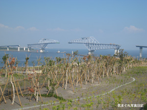 20100821_8355.jpg