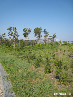 20100821_8391.jpg