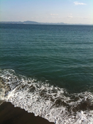 20101124_0169.jpg