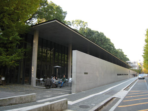 20101128_011374.jpg