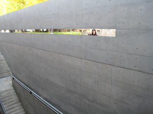 20101128_031386.jpg