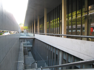 20101128_051403.jpg