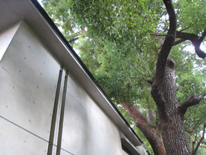 20101128_081437.jpg