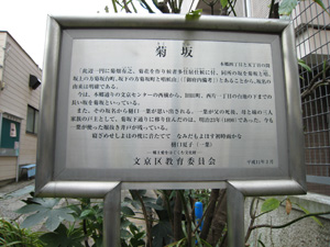 20101219_1812.jpg