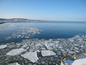 20110211_2872.jpg