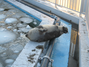 20110211_2885.jpg