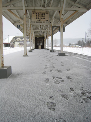 20110212_2925.jpg