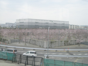 20110410_3857.jpg
