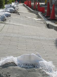 20110410_3922.jpg