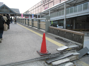 20110410_3991.jpg