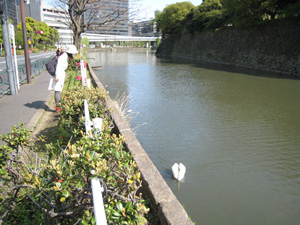 20110424_4099.jpg