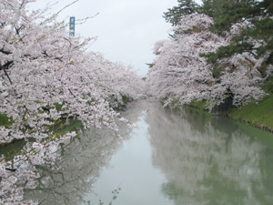 20110501_4265.jpg