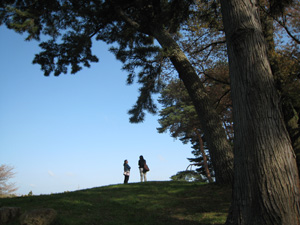 20110504_4794.jpg