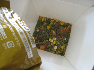 20110802_7118.jpg