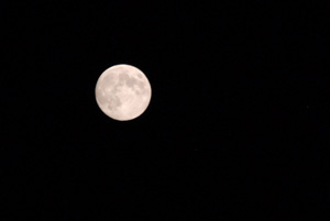 20110911_2953.jpg