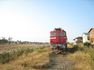20111009_8285.jpg