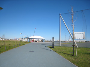 20111204_9344.jpg
