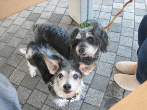 20111204_9347.jpg