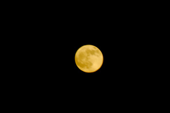 20111210_3008m.jpg