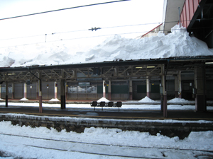 20120204_0399.jpg