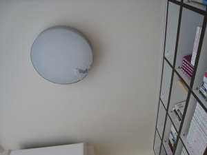 20120306_0909.jpg