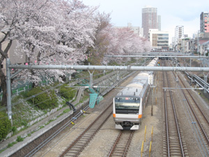 20120407_1676.jpg