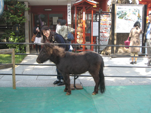 20120408_1703.jpg