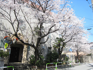 20120409_1746.jpg