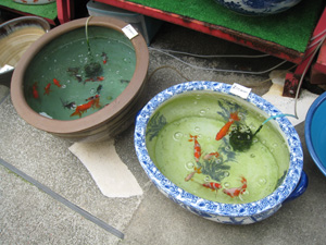 20120430_2528.jpg