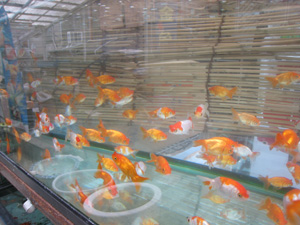 20120430_2532.jpg