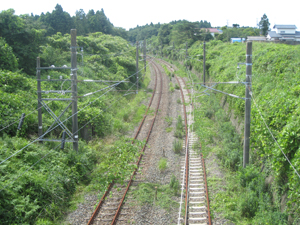 20120716_3942.jpg