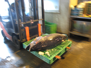 20120721_4222.jpg