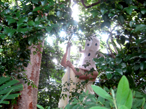 20120825_5116.jpg