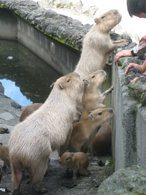 20120902_5647.jpg