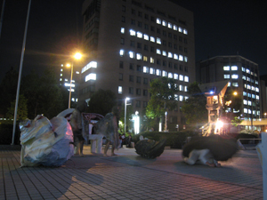 20121026_6612.jpg