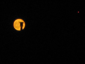 20121030_6660.jpg