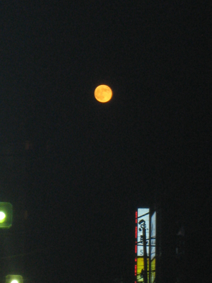 20121030_6664.jpg