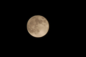 20121030tDSC_3291.jpg